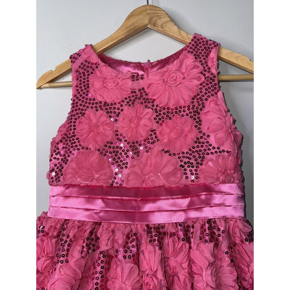 American Princess Dress Girls Size 14 Rosettes Party Formal Tulle ! - Picture 3 of 7